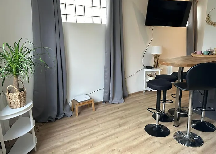 Studio Cf Cosy Proche Gare, Centre Ville Et Toutes Commodites