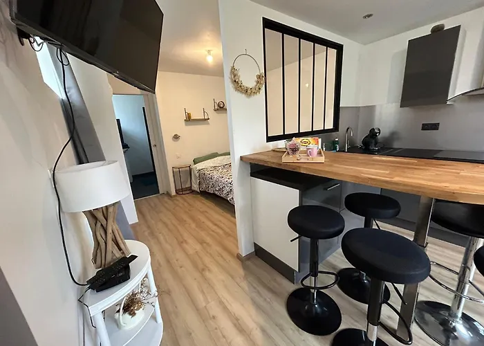Studio Cf Cosy Proche Gare, Centre Ville Et Toutes Commodites